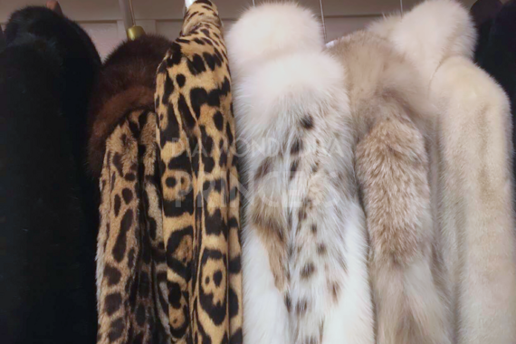 Rare Exotic Furs, Spotted Furs