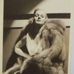 Jean Harlow in Fox Fur, Fur Goddess Hollywood Furs