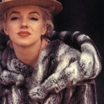 Marilyn Monroe Chinchilla Fur, Fur Goddess Hollywood Furs