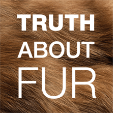 Fur Goddess Truth About Fur
